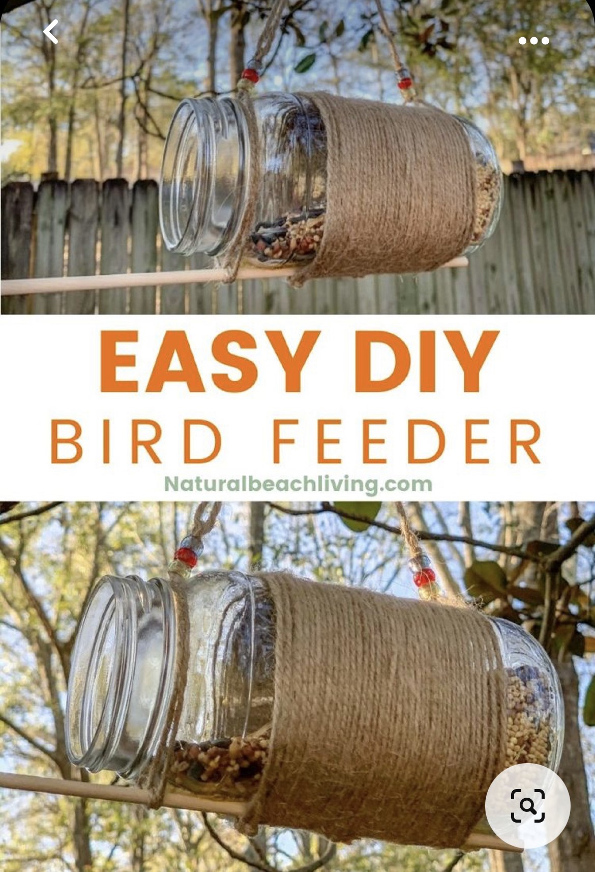 bird feeder craft.jpeg