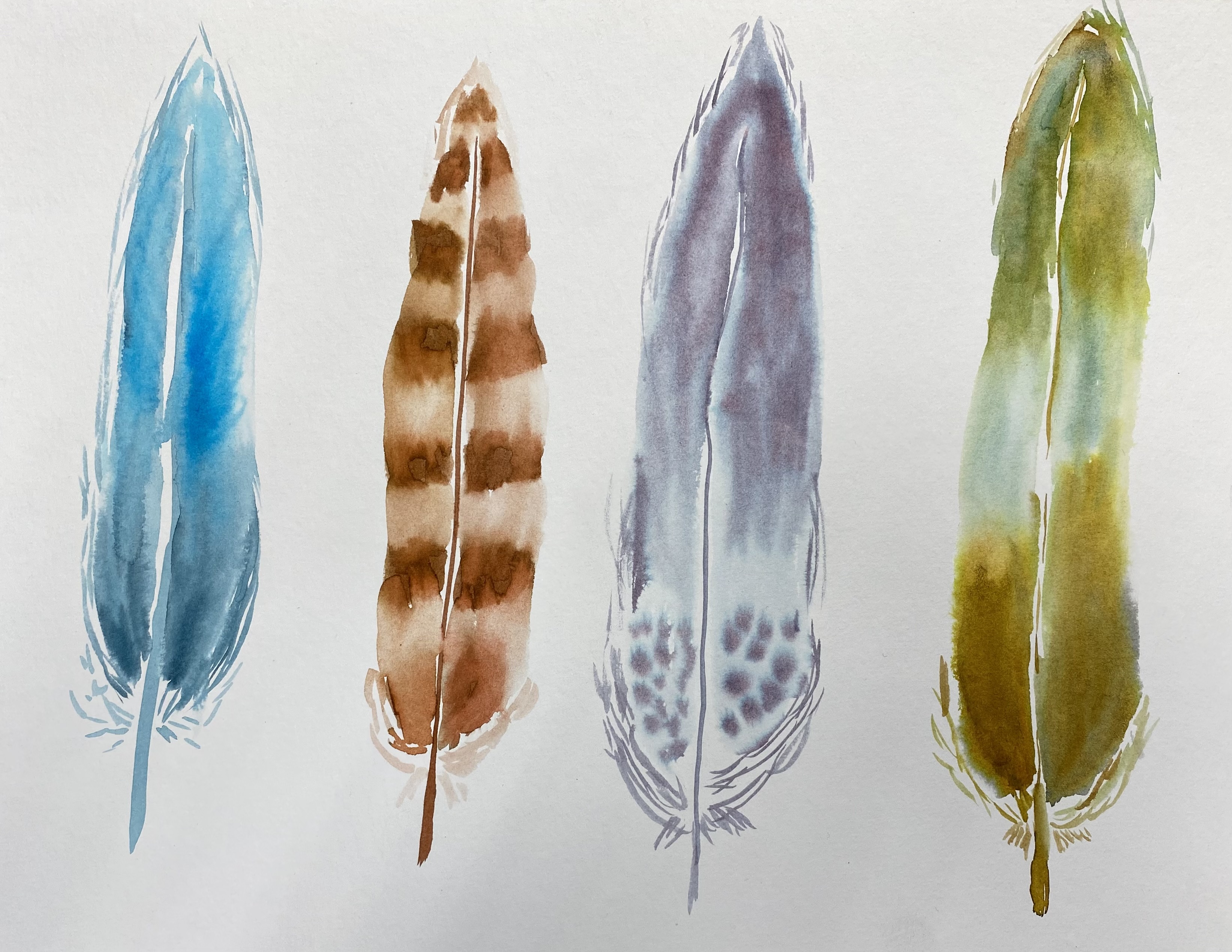 watercolor feathers sept 22.jpg
