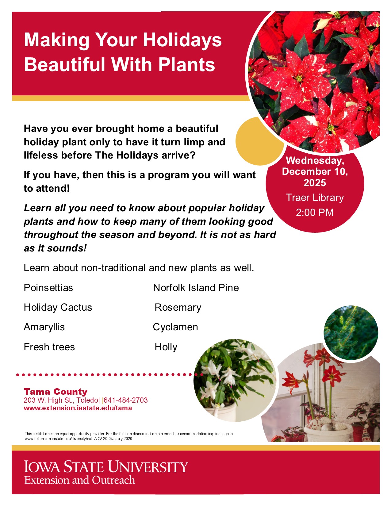 Traer Holiday Plants 2025.jpg
